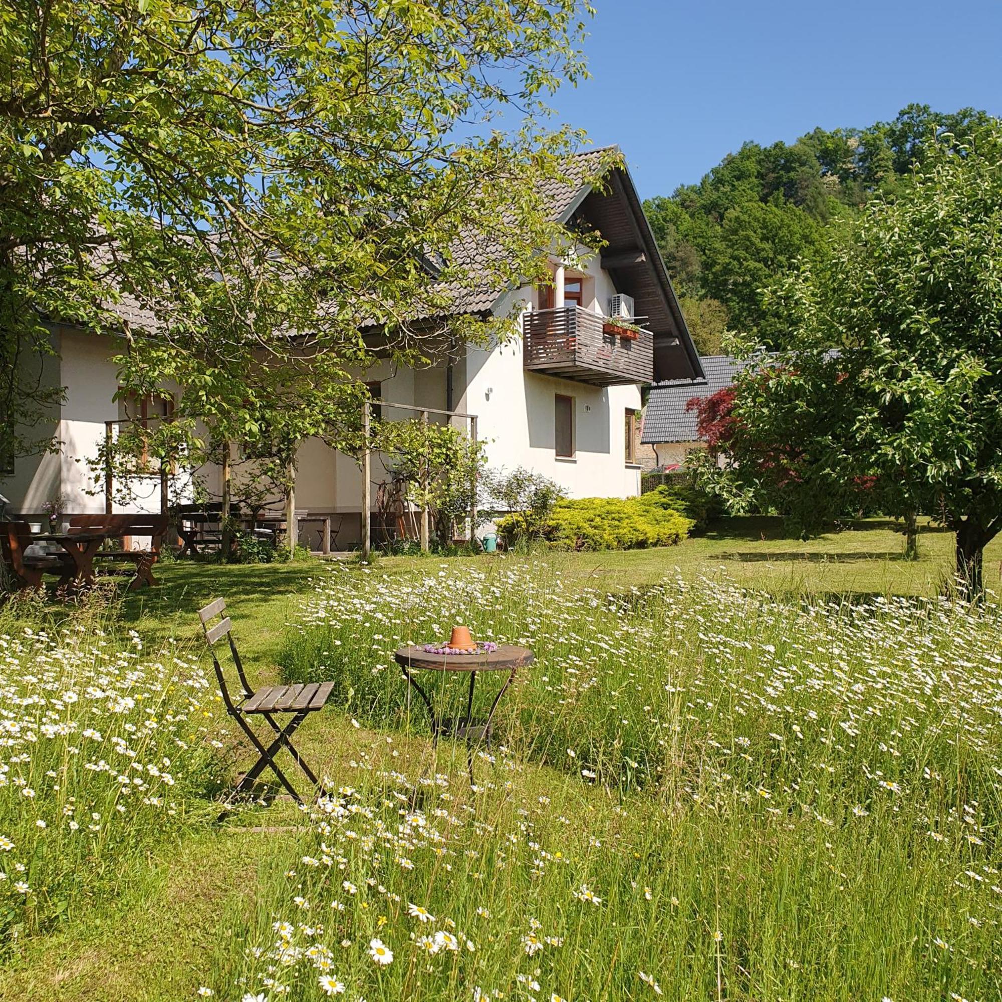 Bed and Breakfast River House Radolca Radovljica Zewnętrze zdjęcie