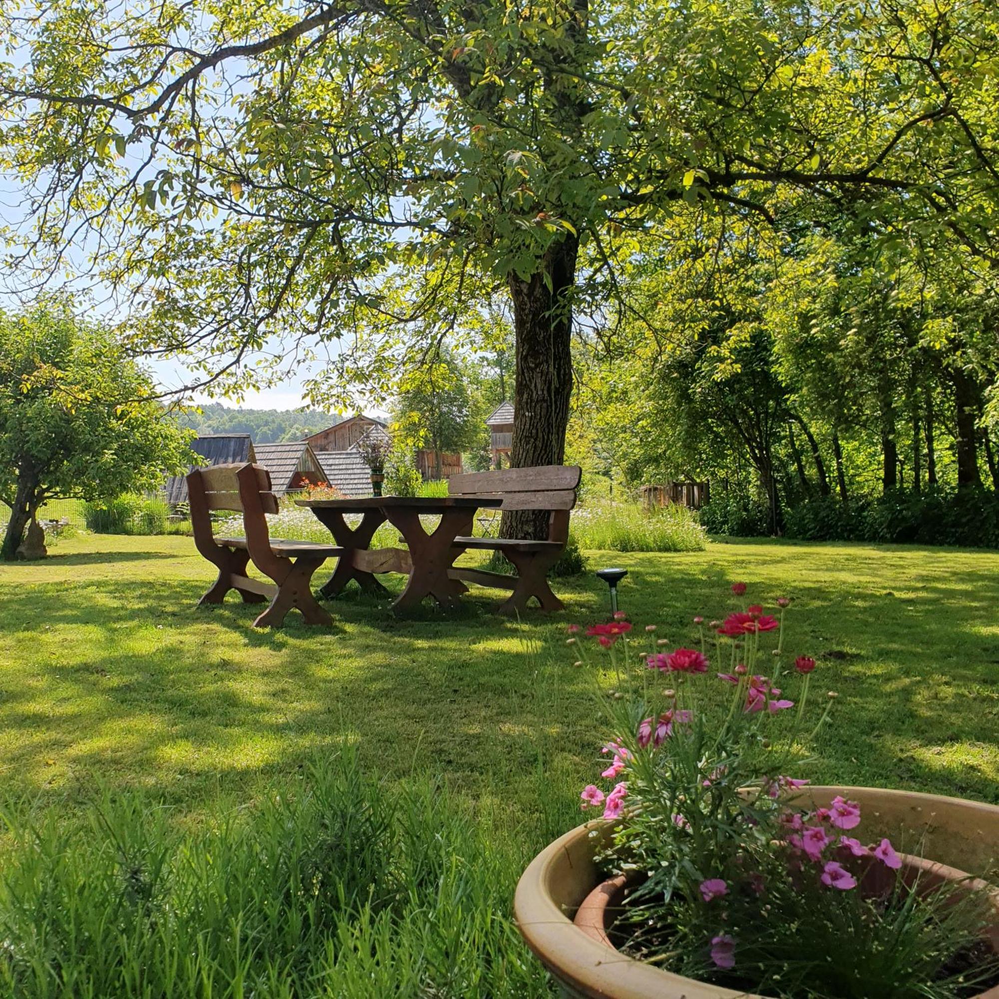 River House Radolca Radovljica Zewnętrze zdjęcie